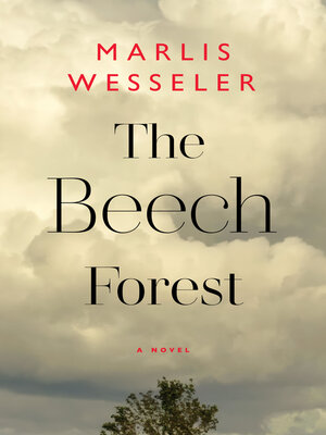 cover image of The Beech Forest